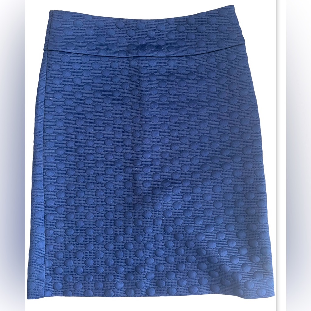 Super cute navy skirt!